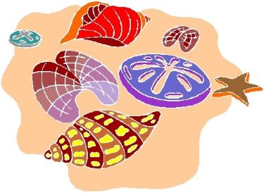 Sea Shells, National Beach Sea Shell Day