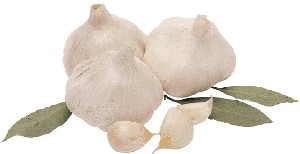 National Garlic Day, April holiday