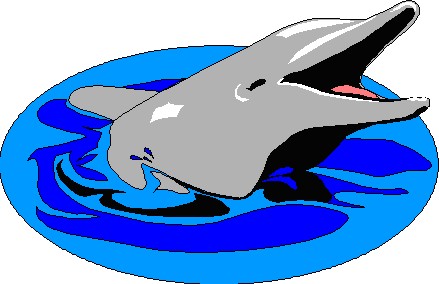 National Dolphin Day, April holiday