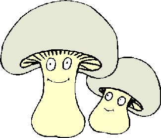 mushrooms, mushroom, day