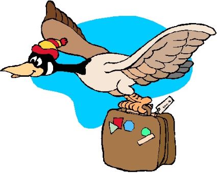 Lame Duck with suitcase.