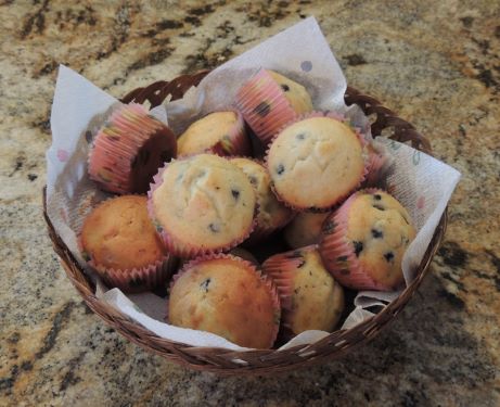 Blueberry Muffin Day, July daily holiday