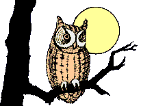 Owl Moon ani