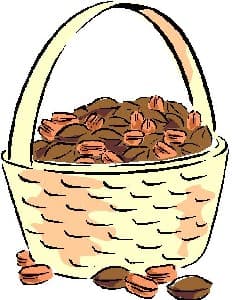 Basket of Chestnuts
