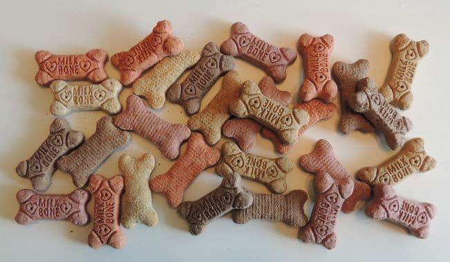 Dog Biscuits Day