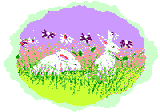 Easter Bunnies in Field