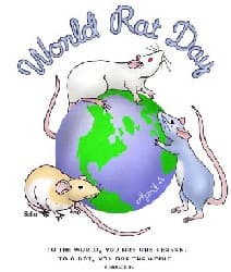 World Rat Day, April 4