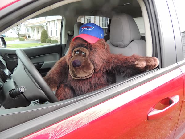 Ape Driving Car