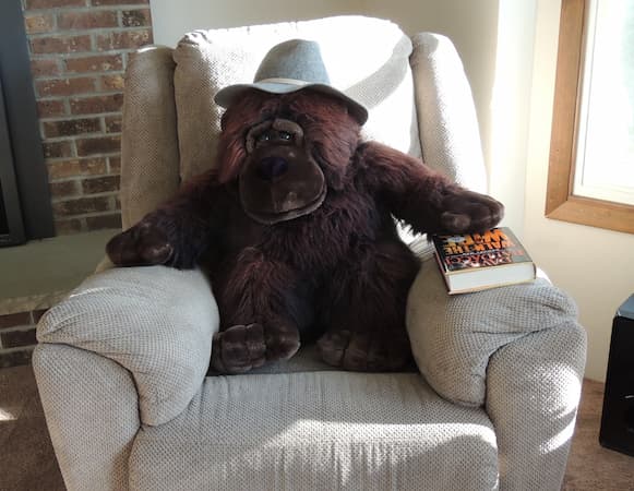 Ape with Book, International Darwin Day. The theory of evolution.