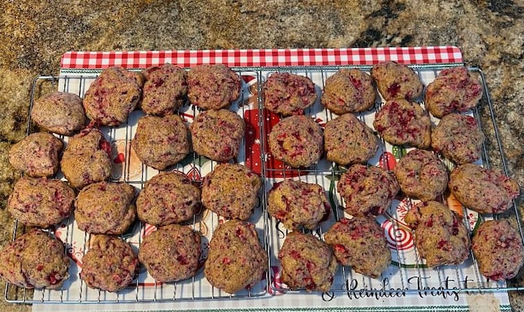 How to make Cranberry Drop Cookie recipe