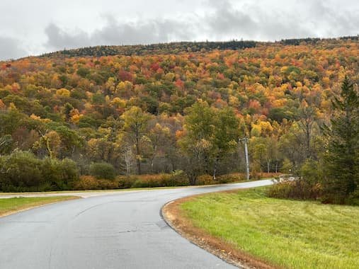 Take a Road Trip Day