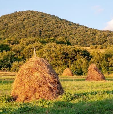 Haystack. Moment of Frustration Day. October 12 holiday