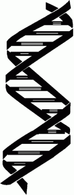 DNA Genealogy Day