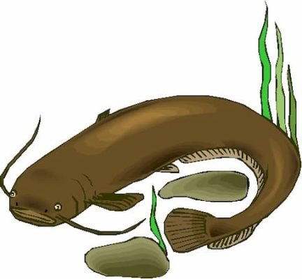 When is Catfish Day? June 25 holidays