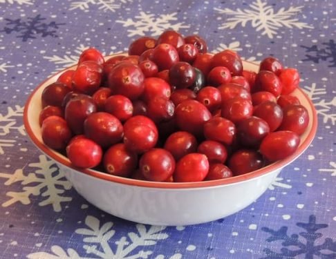 When is Eat a Cranberry Day? Cranberry recipes. November 23 holidays. Cranberry Orange Oatmeal Cookies recipe. sauce