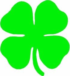 Shamrock Four Leaf Clover