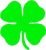 Four Leaf Clover - Small