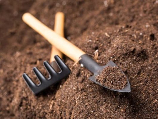 Garden Tools, International World Soil Day