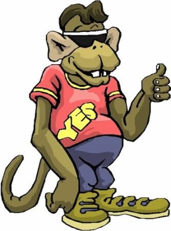 Monkey Pet Joe Cool