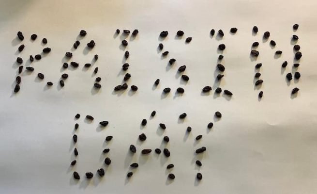 When is National Raisin Day